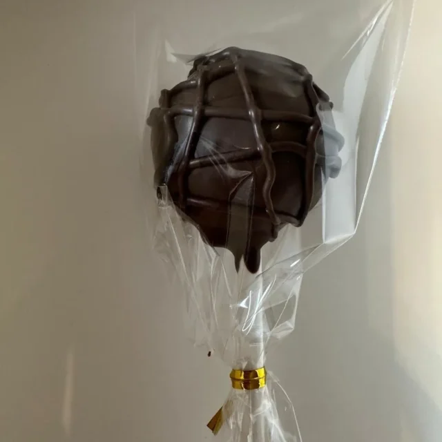 Wrapped chocolate cake pop with chocolate drizzle - Popcakes Ottawa