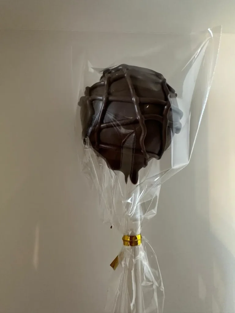 Wrapped chocolate cake pop with chocolate drizzle - Popcakes Ottawa